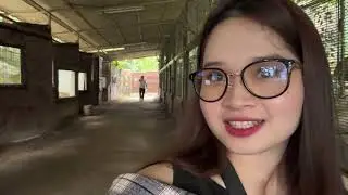 Zoobic Safari
