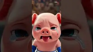 cute cat vs piggy boxing match referee zebra funny 🤣 video// #fighting #cartoon #funny