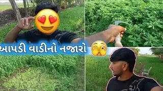 ઘણા દિવસ પછી વાડીયે આવ્યા 😲#સબ્સ્ક્રાઇબ #vlog #vipul_vlog_01 #vairalvideo #lifestyle #newvideo