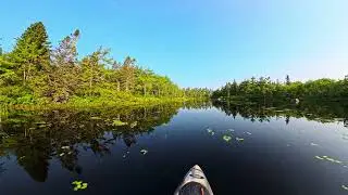 Relaxing kayak ride | Sandy Bottom Lake | Nova Scotia, Canada 🇨🇦 #nature #explore #adventure #summer