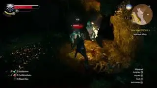 Witcher 3 Divoky Hon