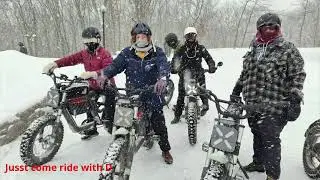 A Snowy Day on Mount Royal
