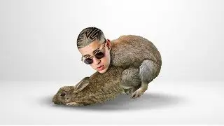 N0P0R DE CONEJOS