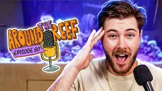 Around the Reef is back!!!