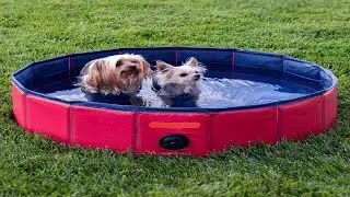 Dog Pet Pool Bathing Tub