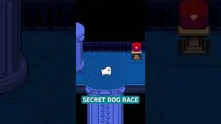 Deltarune Chapter 4 SECRET DOG RACE
