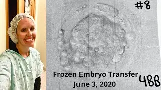 IVF Journey #2: Frozen Embryo Transfer (FET)