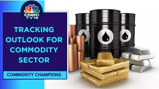 Precious Metal Perk Up, Metals Prices Decline: Tracking Key Triggers | CNBC TV18