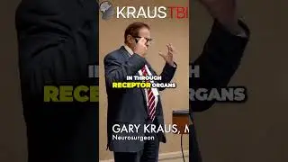 The Mind-Bending Power of Our 5 Senses: Perception Unveiled! #kraus #neurosurgeon #brain #shorts