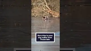 Hero dove into a frozen lake to save a dog walker trying to rescue his pet 😱‼️