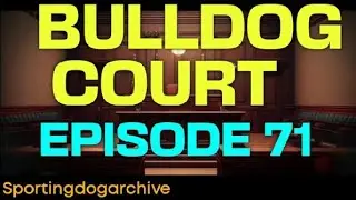 BULLDOG COURT EP:71 #gamdogs #apbthistory #gamebred #dogtalk 