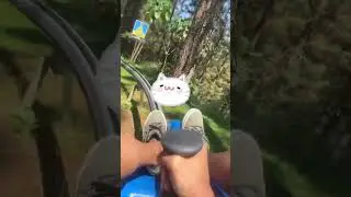 Dahilayan Razorback Mountain Coaster in Bukidnon