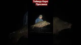 Теймур Михаил &laquo;Теймур Карп&raquo; тестированя нового прдукта 100% результат💪💥 Просянка открытие 2023