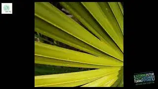 Origins + Endings - David George Haskell PhD