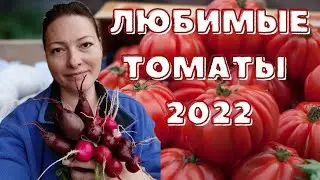 🍅Обзор ТОМАТОВ❇️ сезон 2022