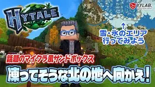 【Hytale】寒そうな北の地を探索！～話題のマイクラみたいなゲームやってみるよ～日本語化MOD