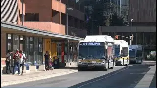 Hamilton councillors unanimously accept plan to revamp city's transit system over the next 7 years