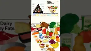 Trump, HHS FLIP the food pyramid #foxnews #news #shorts