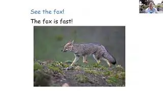The Fast Fox Story Number 21 Learn to Read Series