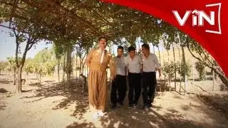 Sediq Feqiyani - Zine Zine - New Clip Vin TV 2012 HDسديق فقيانى