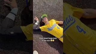 EVERY TIME 😂 #bugs #baseball #funny #daltonmauldin #savannahbananas
