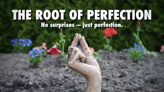 THE ROOT OF PERFECTION | Now Available to Rent on Amazon Prime Video (2022)