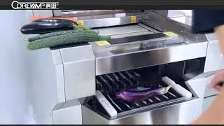 Small scale shrink wrap packaging full automatic plastic stretch film food cling