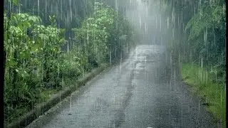 #vally #rainsounds #rainyday #love #peacefulwaves #rainybackground