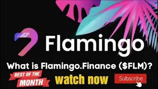 Is Flamingo Finance (FLM) A Good Investment? | FLM Coin Price Prediction Today With Target