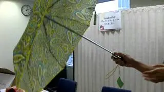 ヴェラブラッドリー傘　verabradley　umbrella　開閉