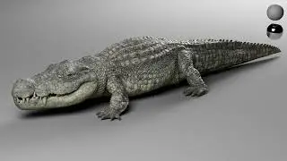 Crocodile Texture and Lookdev Turntable for VFX