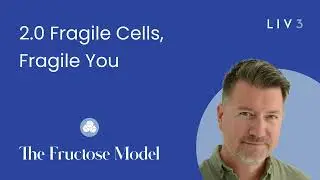 2.0 Fragile Cells &rarr; Fragile Systems: How Energy Failure Drives Chronic Disease | The Fructose Model