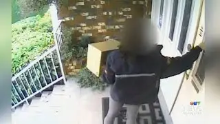 Alleged theft by Canada Post worker prompts investigation