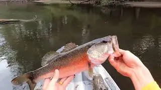 #bass fishing #river #kayak #fishinglife 