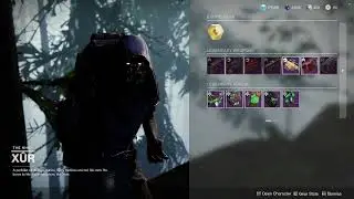 GLITCHED XUR RESET, NO SUMMONER SADLY
