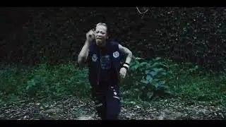 Aggressive Dogs 2025 New Single All Fuckin' Age CM