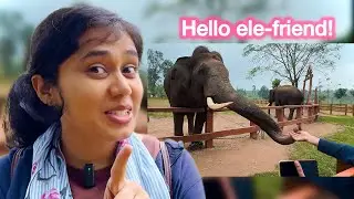 Dubare Elephant Camp 🐘 | Konkani Vlog in Coorg, Facts and Fun | Coorg Diaries Part 4