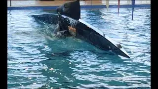 Avataq roll - Harder than it looks...