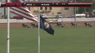 Red Mile Racetrack 08/25/2020 Race 1