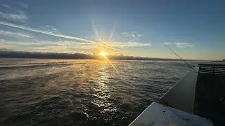 A morning on the Juno Pier!!