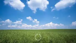 Green Aesthetic Bold Agriculture Video