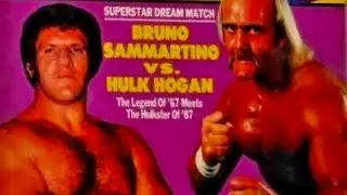 C.)Bruno Sammartino vs Hollywood Hogan *WWE Championship 