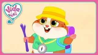 O&ugrave; Va Le Pop-corn ? (Compilation) | Vida la V&eacute;to | Dessins Anim&eacute;s Pour Enfants