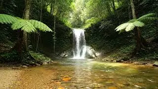 Beautiful Clean River Below a Waterfall (4 Hours) &mdash; Tropical Forest, Pure ASMR, No Music