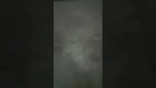 11 de enero de 2026