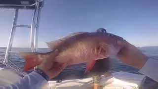 Jupiter Florida Fishing - 120 ft. Ledge