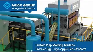Custom Pulp Molding Machine: Produce Egg Trays, Apple Pads & More!#