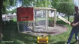 Chicken Coop with run, Day 11