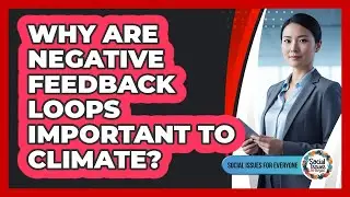 Why Are Negative Feedback Loops Important To Climate?