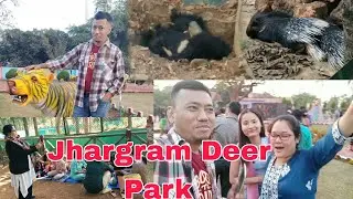 #vlog2 Jhargram Deer Park | krish Garden | New Year Picnic | West Bengal@darshanvlogs6402
